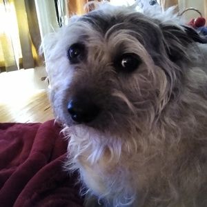 Meet your Posher, Kelli